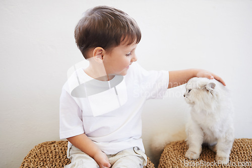 Image of Child, boy and happiness with kitten for pet, best friend and bonding with cuddle or care in living room of home. Toddler, kid and face with animal, cat and friendship in lounge of house or apartment