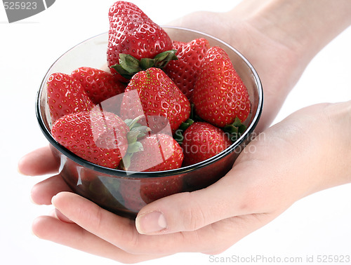 Image of Strawberry