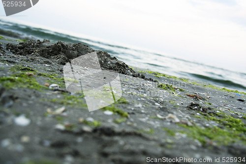 Image of Summertime at the beach.