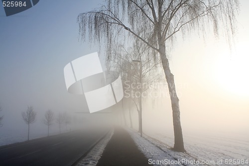 Image of snow field in fog