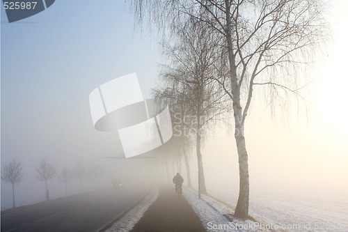 Image of snow field in fog