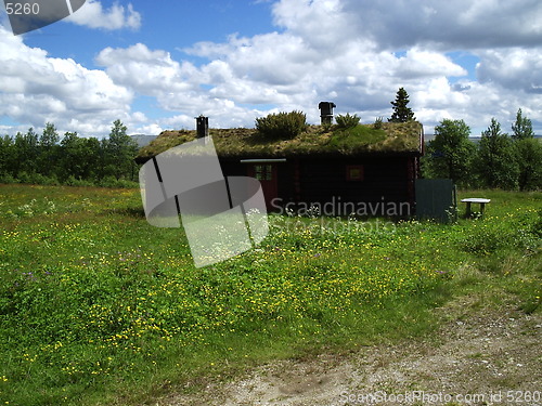 Image of 