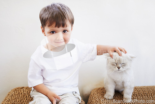 Image of Child, boy and portrait with kitten for pet, best friend and bonding with happiness in living room of home. Toddler, kid and face with animal, cat and friendship in lounge of house or apartment