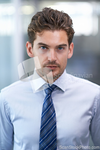 Image of Portrait, employee and business with man, confidence and startup with entrepreneur and compliance officer. Face, person and finance consultant in a workplace and formal with accountant and trader