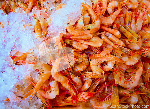 Image of Ice, shrimp or top view of food at market for nutrition, protein or cold animal for healthy diet in fish industry. Above, seafood and frozen prawn at restaurant for dinner, meal or shellfish closeup