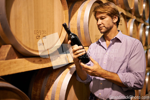 Image of Barrels, cellar and man with bottle of wine for reading label in winery, warehouse or distillery. Agriculture, industry and mature male person by wooden containers with alcohol beverage in storage.