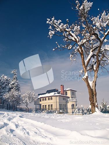 Image of House, snow and forest environment for winter nature in Canada for travel vacation, exploring or freezing. Home, outside and woods for cold weather with ice trees for climate, Christmas or holiday