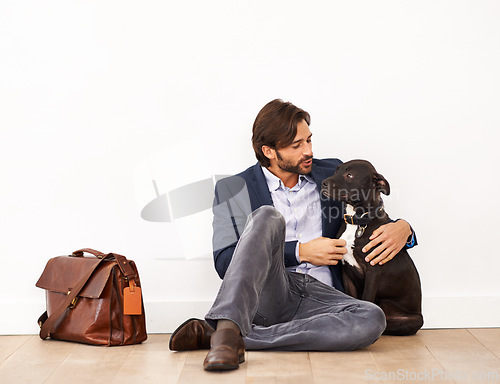 Image of Cute, bonding and happy businessman with dog by wall with positive attitude together. Career, briefcase and professional male person playing and scratching pet, puppy or animal on floor at home.