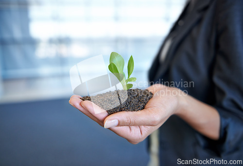 Image of Person, hand and soil with plant for environment or future sustainability, climate change or non profit. Fingers, dirt and leaf for development or business growth for startup, investment or nature