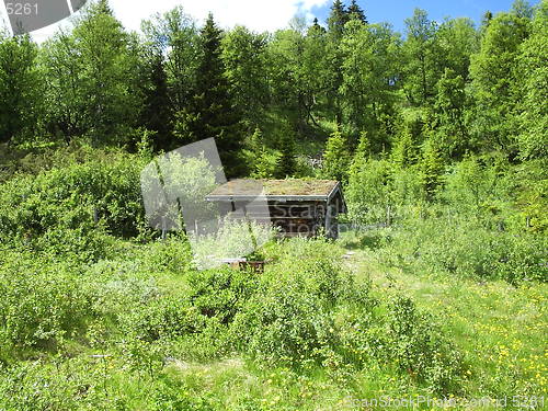 Image of 
