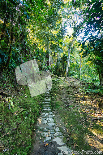 Image of Ciudad Perdida, ancient ruins in Sierra Nevada mountains. Santa Marta, Colombia wilderness