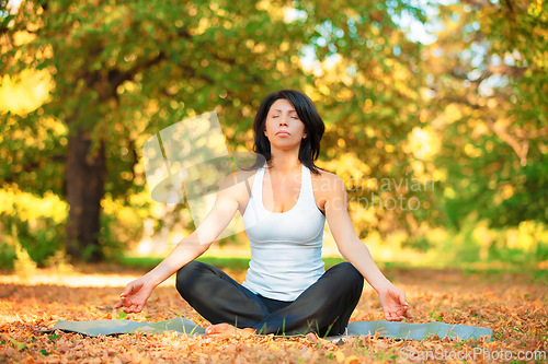 Image of Woman, meditation and nature for yoga outdoor for wellness and peace of mind, forest and fitness. People, calm and breathe with stillness of chakra for energy, balance and sitting for flow of ease