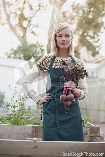 Image of Gardening, beetroot and portrait of woman with plants for landscaping, planting food and growth. Agriculture, morning and person with vegetables in backyard for environment, nursery and garden