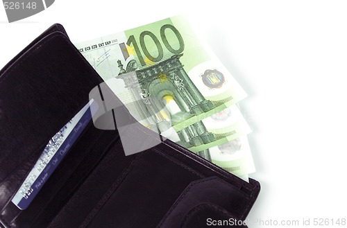 Image of euro and a leather purse