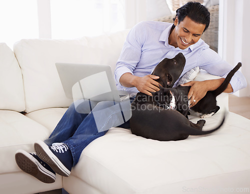 Image of Man, dog and happiness with laptop on sofa for bonding, playing and face with remote work in home. Animal, person and comfort with smile on couch in living room for research, cuddle or love for puppy