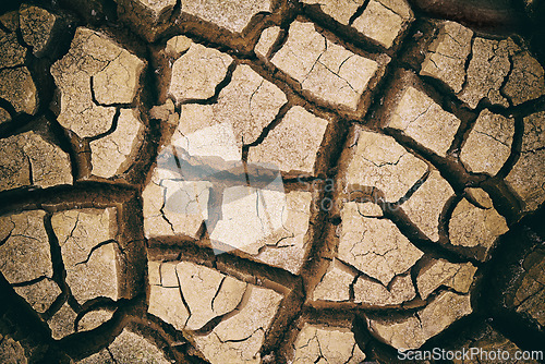 Image of Earth, dry and ground with cracks, nature and landscape with environment, dust and soil. Empty, barren and drought with extreme weather and climate change with ecology and water shortage with erosion