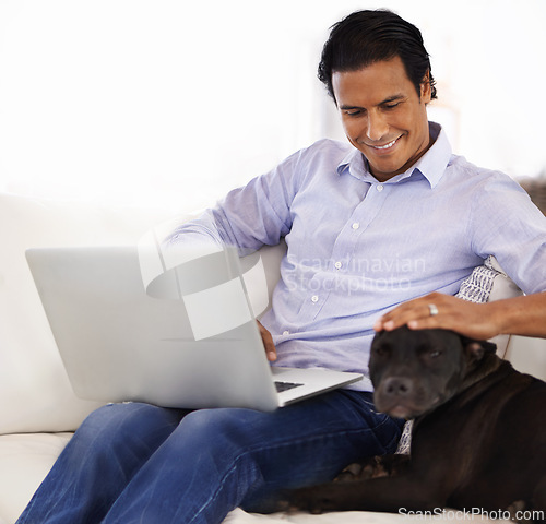 Image of Man, dog and face with laptop on sofa for bonding, playing or happiness with remote work in home. Animal, person and cuddle with smile on couch in living room for research, comfort and love for puppy