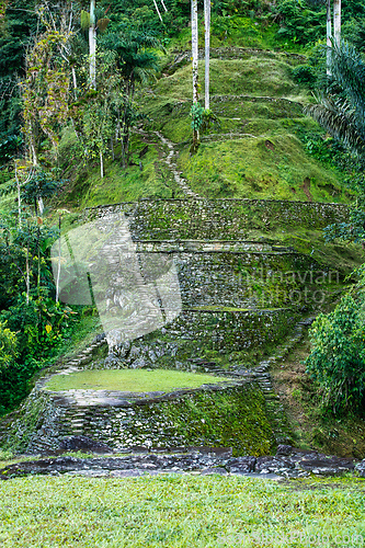 Image of Ciudad Perdida, ancient ruins in Sierra Nevada mountains. Santa Marta, Colombia wilderness