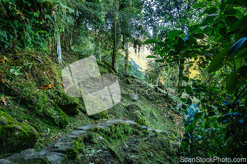 Image of Ciudad Perdida, ancient ruins in Sierra Nevada mountains. Santa Marta, Colombia wilderness