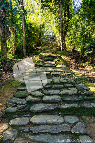 Image of Ciudad Perdida, ancient ruins in Sierra Nevada mountains. Santa Marta, Colombia wilderness