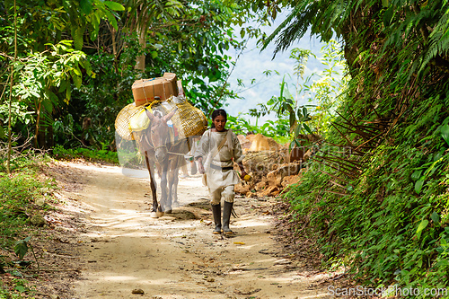 Image of Indigenous Koguis man transport goods in the Sierra Nevada de Santa Marta, Magdalena, Colombia