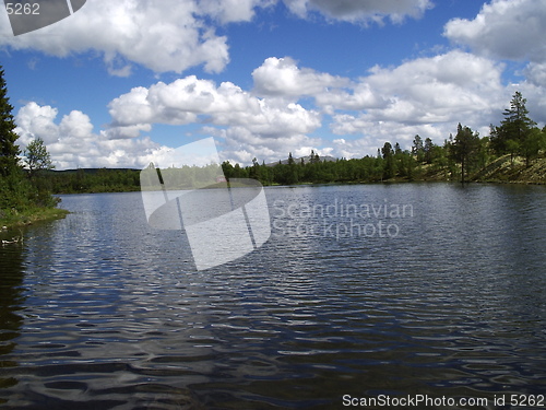 Image of 