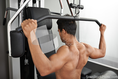 Image of Fitness, shoulder press and back of man in studio on gray background for training or workout at gym. Exercise, health or pull down machine and body builder with equipment for wellness or strength