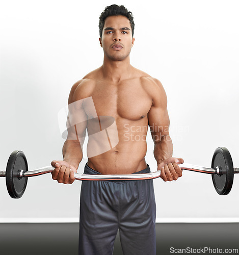 Image of Man, portrait and curl barbell for workout fitness or arm training for muscle strength, performance or exercise. Bodybuilder, equipment and white background in studio for health, biceps or mockup
