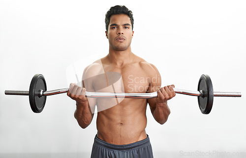 Image of Man, portrait and barbell for arm workout fitness or curl training for muscle strength, performance or exercise. Bodybuilder, equipment and white background in studio for health, biceps or mockup