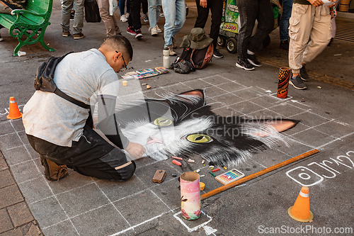 Image of Street artist in the act of painting a cat in the vibrant city. Antioquia department, Colombia.