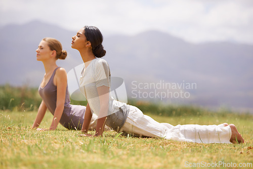 Image of Woman, friends or yoga on field in nature for spiritual wellness, health or outdoor exercise. Female person or yogi in relax, pilates or cobra pose for zen, balance or training workout on green grass