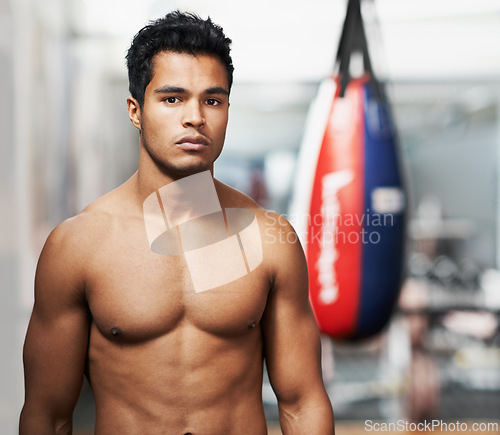 Image of Sport, training and portrait of man in gym for exercise, practice or wellness for physical health. Personal trainer, face and serious expression with confidence for boxing, fight skill or development