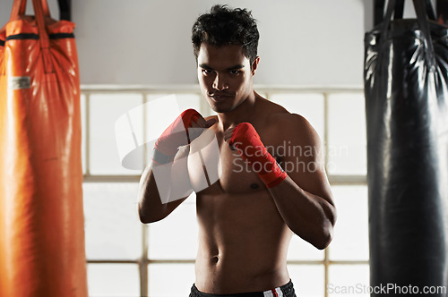 Image of Portrait, man and boxing in club for sports, training and workout for healthy body. Fighter, face and serious athlete with muscle on abs for fitness, exercise and martial arts at a gym in Brazil