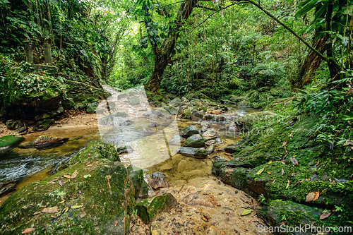 Image of Landscape of Sierra Nevada mountains, Colombia wilderness landscape.