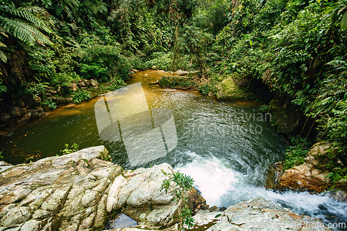 Image of Small natural pond in jungle. Sierra Nevada mountains, Colombia wilderness landscape.