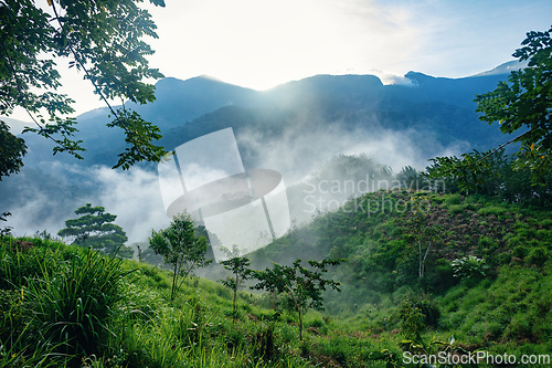 Image of Landscape of Sierra Nevada mountains, Colombia wilderness landscape.