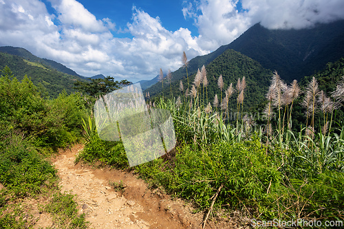 Image of Landscape of Sierra Nevada mountains, Colombia wilderness landscape.