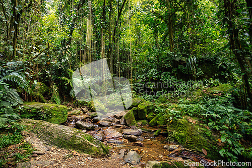 Image of Landscape of Sierra Nevada mountains, Colombia wilderness landscape.