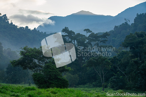 Image of Landscape of Sierra Nevada mountains, Colombia wilderness landscape.