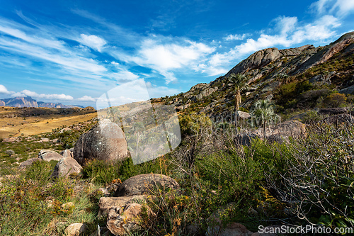 Image of Andringitra national park,mountain landscape, Madagascar wilderness landscape