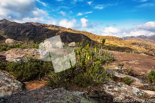 Image of Andringitra national park,mountain landscape, Madagascar wilderness landscape