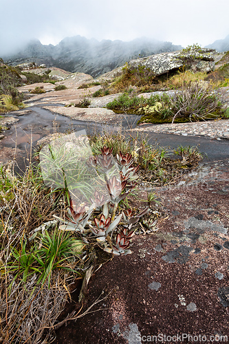 Image of Andringitra national park,mountain landscape, Madagascar wilderness landscape