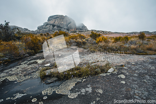 Image of Andringitra national park,mountain landscape, Madagascar wilderness landscape