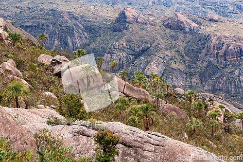 Image of Andringitra national park,mountain landscape, Madagascar wilderness landscape