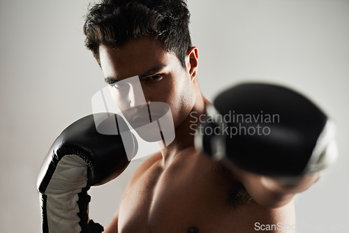 Image of Man, serious and portrait with boxing gloves in studio for self defense, mma and combat. Male person, fighter and personal trainer for physical sport with commitment, focus and strong for activity