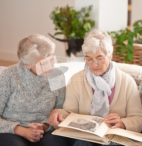 Image of Elderly women, friends and photo album for memory nostalgia in retirement or together, photograph or connection. Old people, past and picture book in apartment for bonding in Canada, remember or love