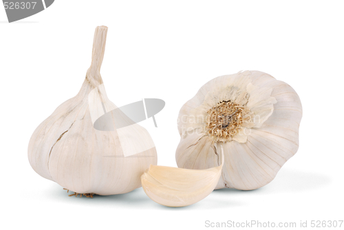 Image of Garlic