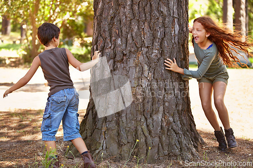 Image of Children, forest or playing tag for fun with brother and sister sibling outdoor in nature together. Kids, girl and boy running around tree in woods to catch for summer game of leisure or recreation