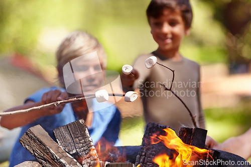 Image of Fire, marshmallow and boy kids in nature for camping, learning or fun bonding in a park together. Bonfire, family or children in a forest for candy puff roast, cooking or campfire tradition in woods