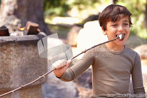 Image of Child, eating and marshmallow on stick on camping adventure outdoor in summer with dessert snack. Boy, kid and smile with candy at campfire in forest, park or woods on holiday or vacation in nature